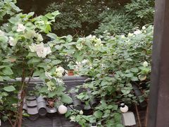 -贰醒·私房小院烧烤 (太古里店)