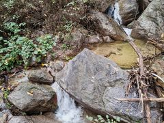 -大岭沟猕猴桃谷风景区