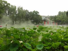 -四川大学(望江校区)