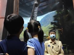 -侏罗纪世界电影特展(广州站)