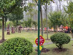 -合肥滨湖国家森林公园