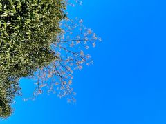 -南京市无想山景区