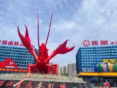 -虾皇(龙虾城旗舰店)