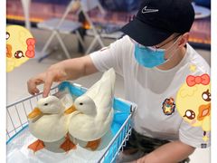 -怪兽屋·羊驼·猫咖·狗咖(俊华广场店)