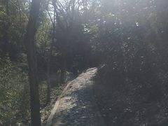 -上海佘山国家森林公园西佘山园