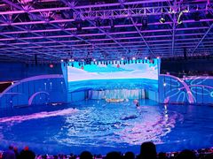 -海合安青岛极地海洋公园
