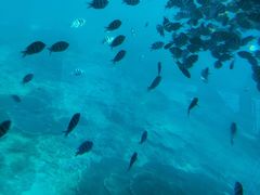 -亚龙湾海底世界