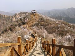 -大岭沟猕猴桃谷风景区
