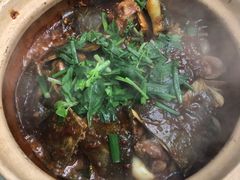 嘟嘟大甲鱼-金龙·打边炉(武进路店)