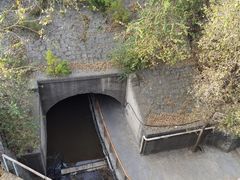 -白水寺森林公园