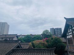 -星巴克臻选(成都宽窄巷子店)