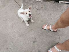 -小六农家乐(崇明西沙湿地店)