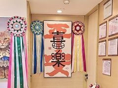 -猫十亿·布偶金渐层·曼基康矮脚猫舍(青年路店)