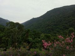 -银瓶嘴森林公园