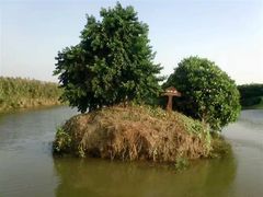 -大湾区中央湿地公园