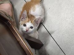 -新疆喀什噶尔餐厅(普利街店)