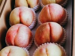 -南汇新场正宗水蜜桃采摘