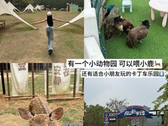 -清远熹乐谷温泉度假酒店