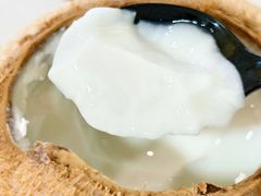 椰子冻-志龙皇冠吃货椰子铺