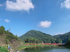 -广州市石门国家森林公园
