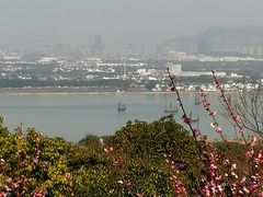 -香雪海