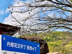 -丹樱生态园