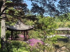 -溪口商量岗景区