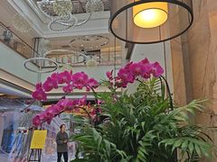 -上海虹桥宾馆(郁锦香品牌酒店)