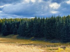 -塞罕坝国家级自然保护区