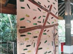 -三亚亚龙湾人间天堂鸟巢度假村