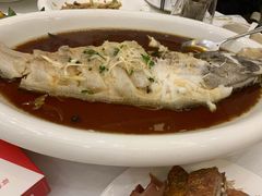 -金狮麟·新豫菜(金码大厦店)
