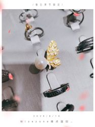 点击看大图 -Wisezone唯点穿耳打耳洞专业国际连锁品牌