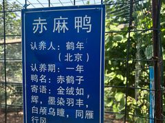 -白玉山景区