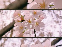 -金隅嘉华大厦