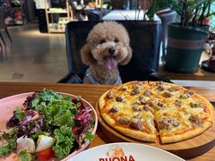 -百好乐宠物友好餐厅(朝外大街店)