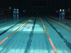 -重庆市奥林匹克体育中心-游泳跳水馆