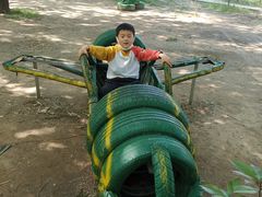 -宿豫区运河湾森林动物园