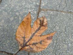-西湖风景区十里琅珰-五云山