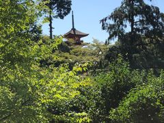 -有栖山 清光院 清水寺