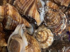 -老虎滩船说·大连海鲜(老虎滩店)