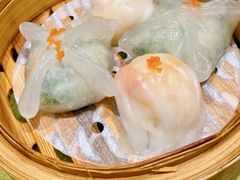 -有心德(麦地店)