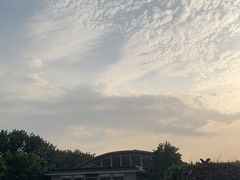 -秦始皇帝陵博物院(兵马俑)