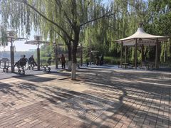 -大兴滨河森林公园