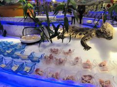 -澜悦港海鲜体验主题餐厅