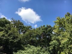 -蒋氏故居