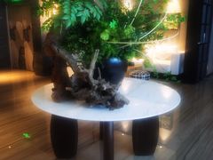 -珠海棕泉水疗酒店(拱北口岸高铁站店)
