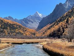 -稻城亚丁景区-冲古草甸