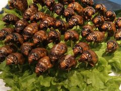 -老德州四合院·德州菜(天衢路店)
