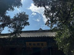 -洛阳白马寺