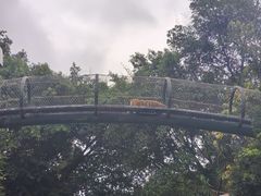 -深圳野生动物园